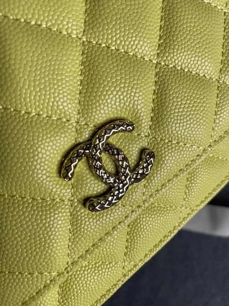 Chanel Woc Bags Thermal 52003