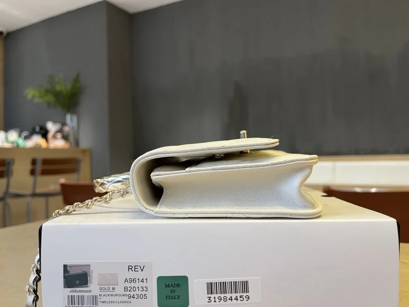 OdorResistant Chanel Woc Bags 51994