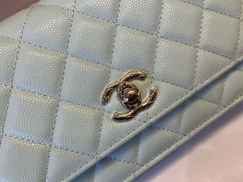 Chanel Woc Bags Colorful 51991