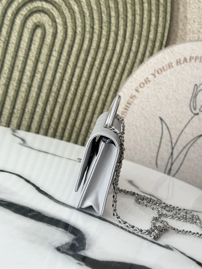 TechFriendly Chanel Woc Bags 51983