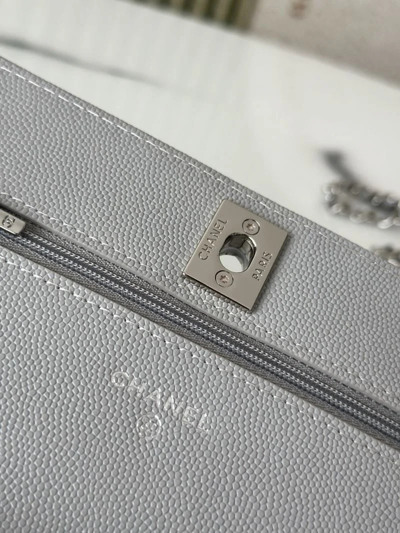 TechFriendly Chanel Woc Bags 51983