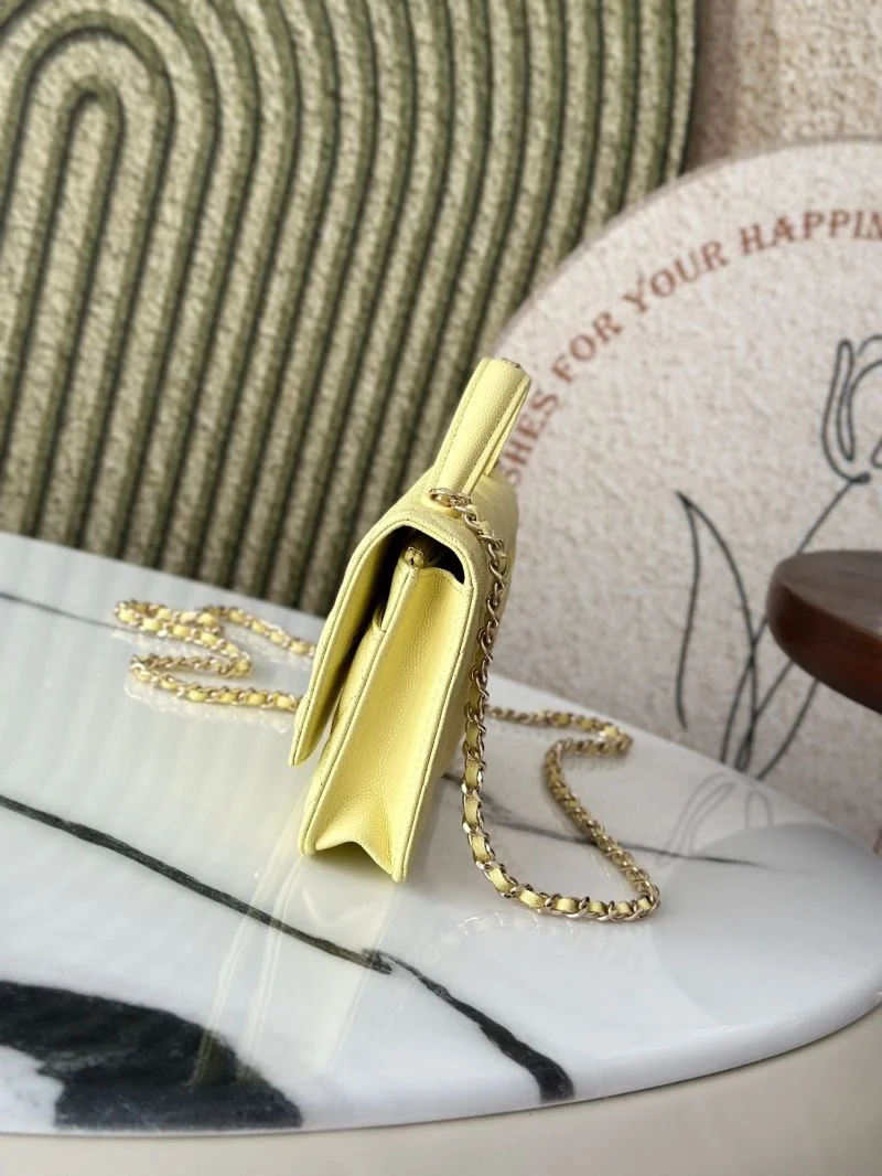 ZeroBulk Chanel Woc Bags 51978