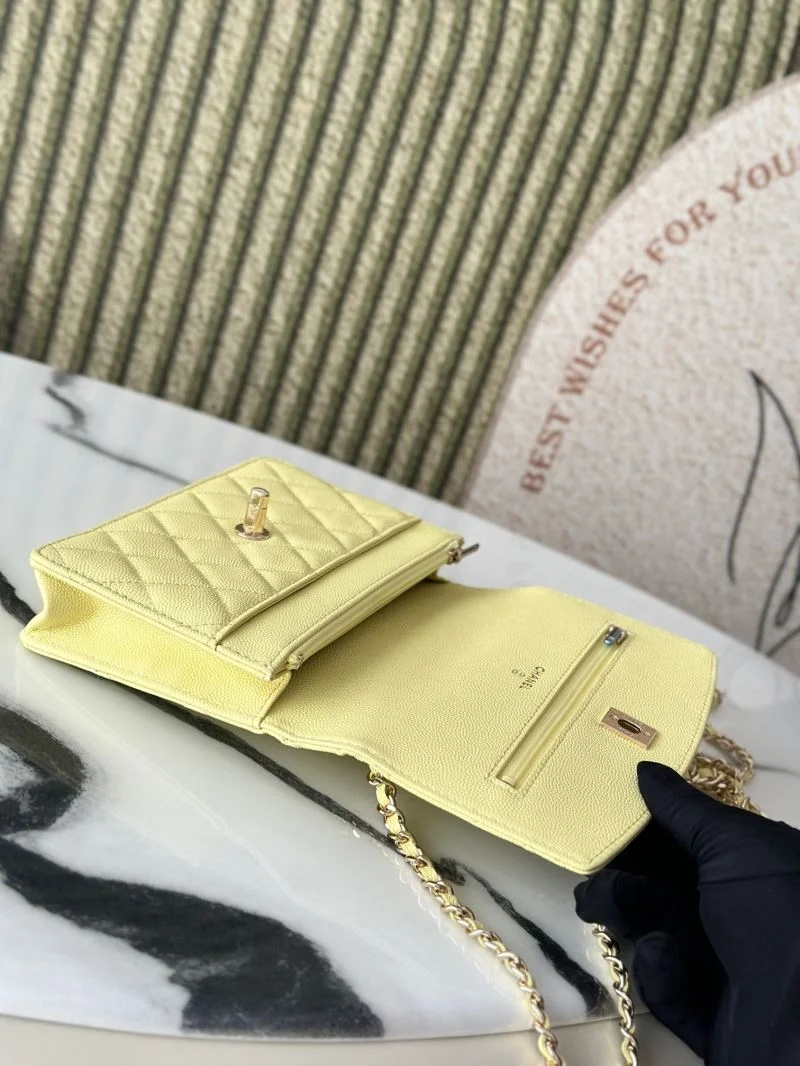 ZeroBulk Chanel Woc Bags 51978