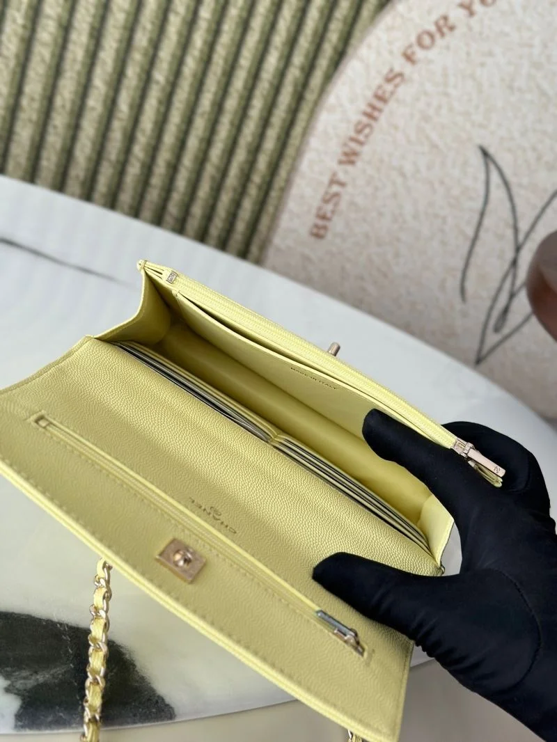 ZeroBulk Chanel Woc Bags 51978