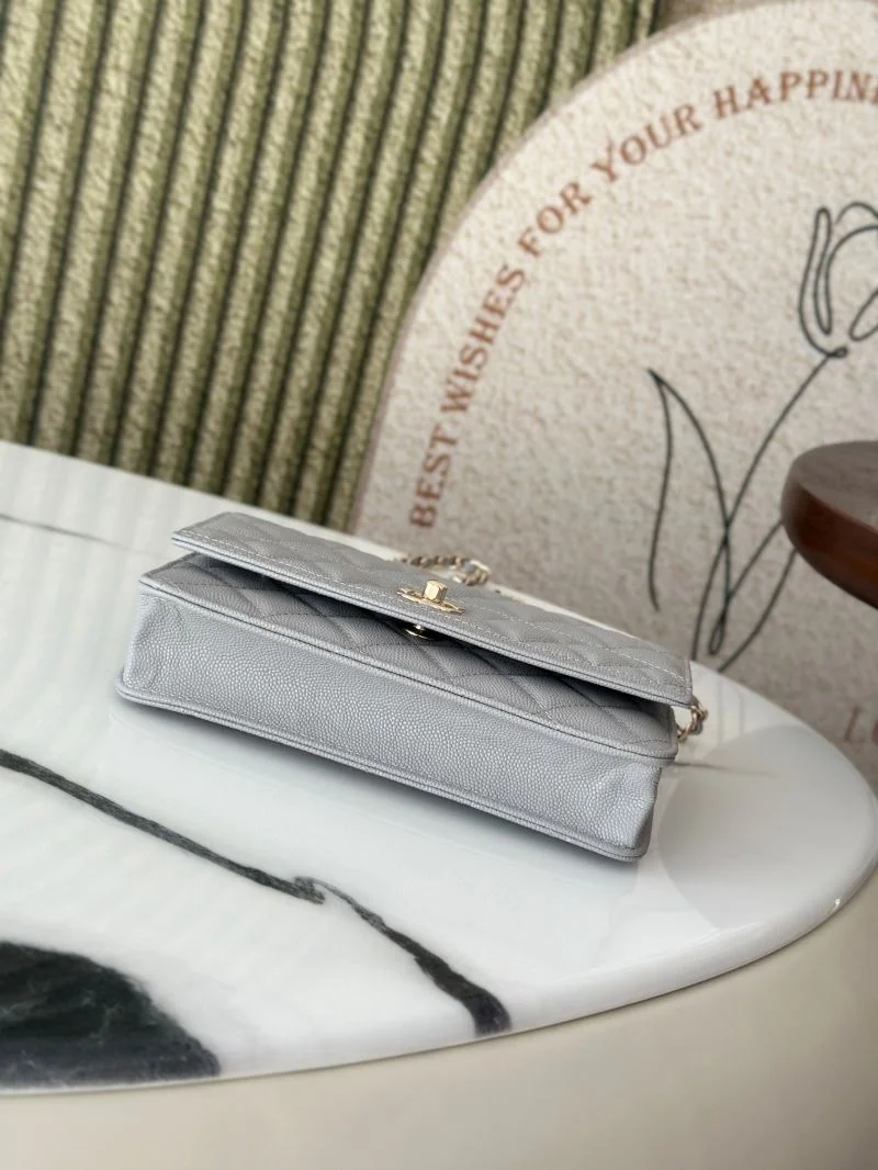 Chanel Woc Bags SunProtective 51980
