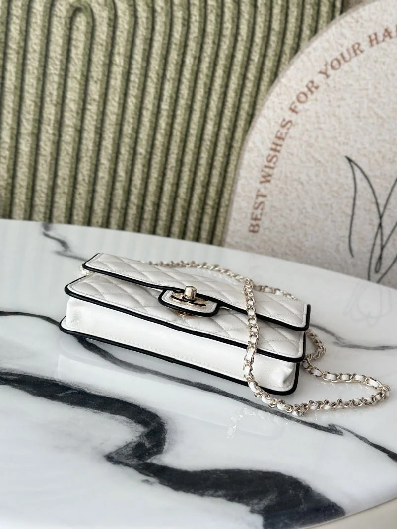Durable Chanel Woc Bags 52020