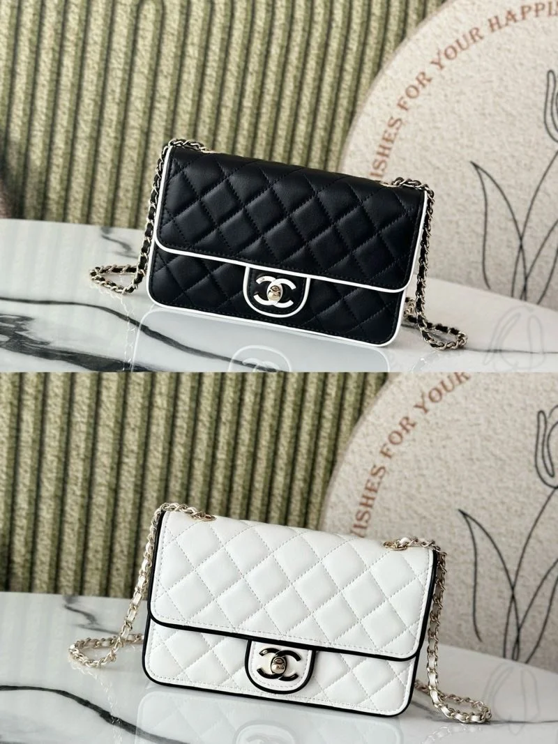 Durable Chanel Woc Bags 52020