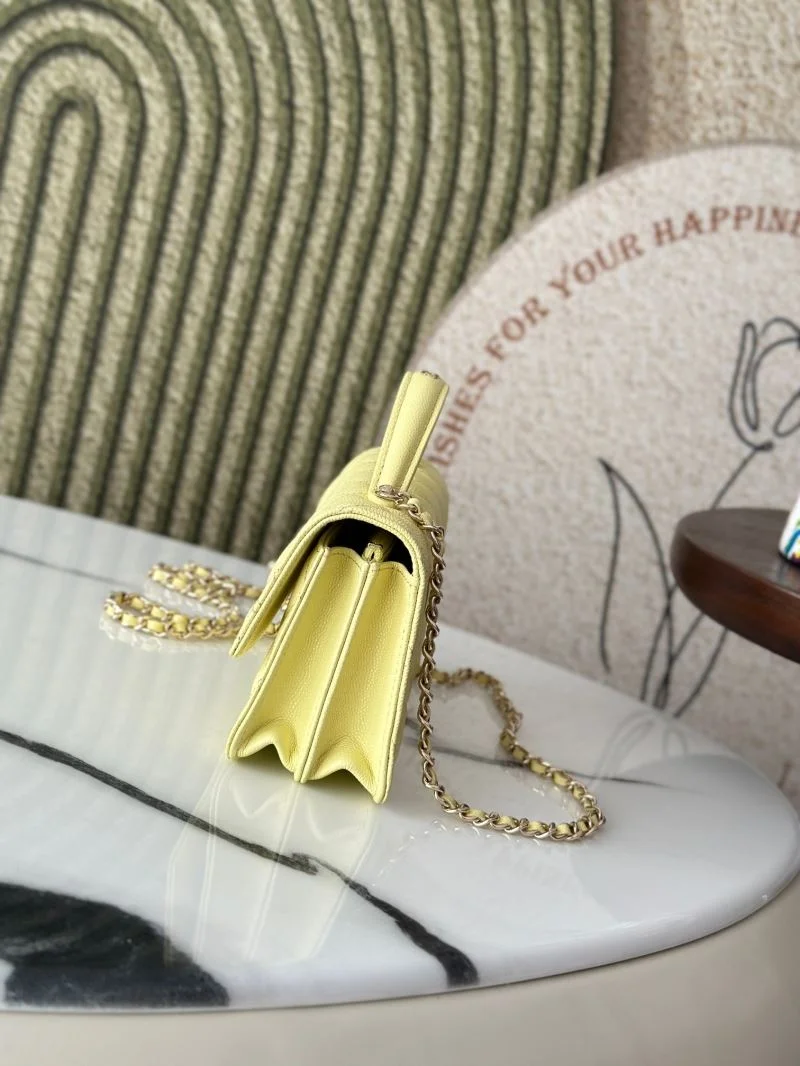 Chanel Woc Bags Soft 37568