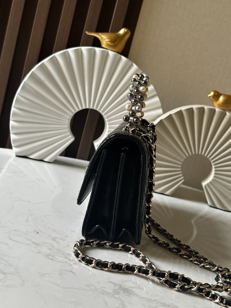 Timeless Chanel Woc Bags 51962