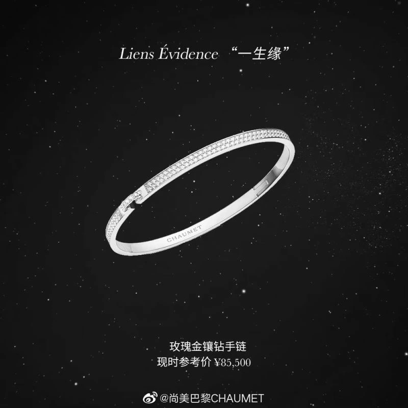 Chaumet Bracelets TravelReady 214313