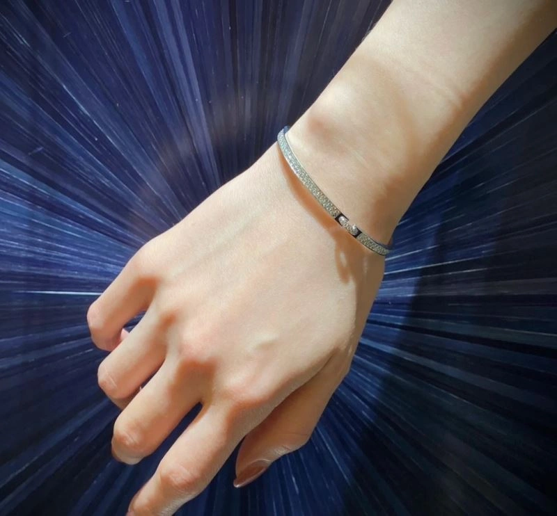 Chaumet Bracelets TravelReady 214313