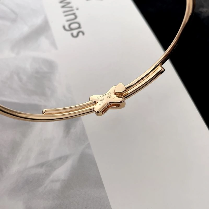 SportInspired Chaumet Bracelets 213117