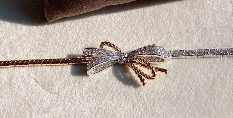 Chaumet Bracelets Comfortable 213094