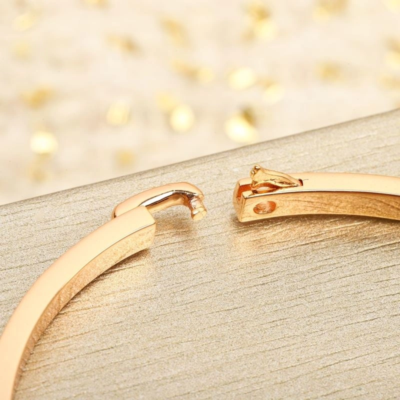 Chaumet Bracelets Bright 212673