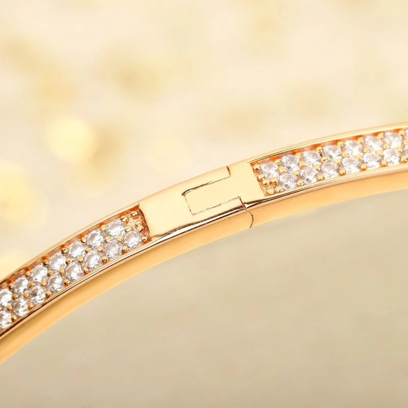 Chaumet Bracelets Bright 212673