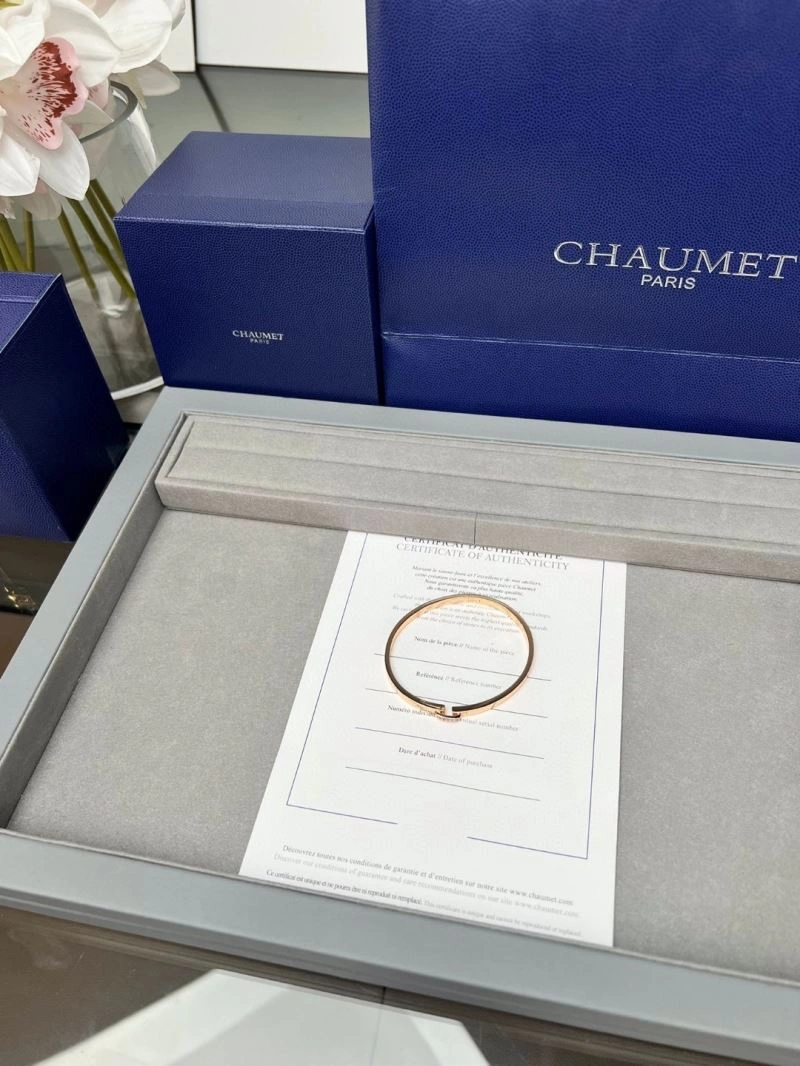Vibrant Chaumet Bracelets 211415