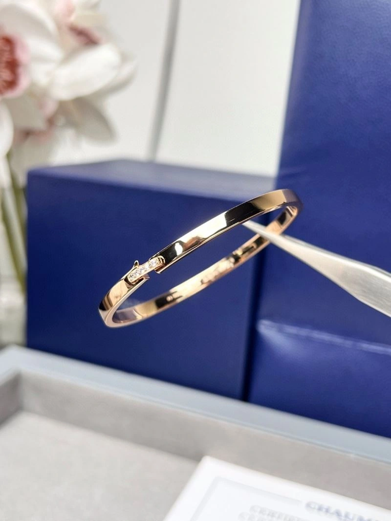 Vibrant Chaumet Bracelets 211415