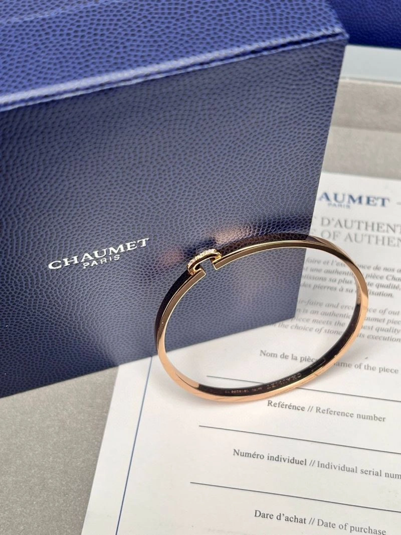 Vibrant Chaumet Bracelets 211415