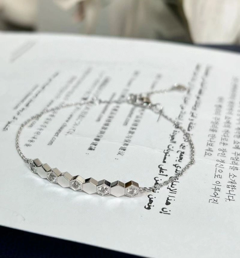 Chaumet Bracelets Resilient 211411