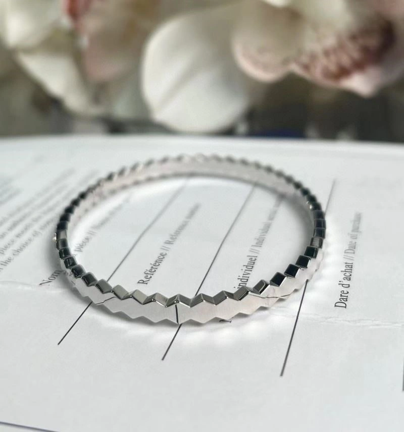 Chaumet Bracelets Supportive 210975
