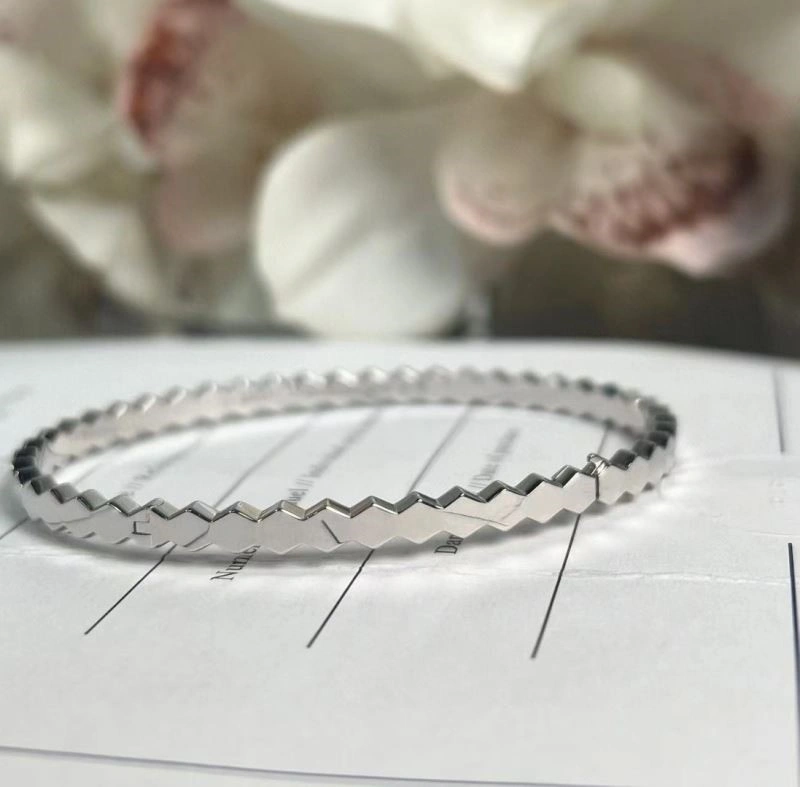Chaumet Bracelets Supportive 210975