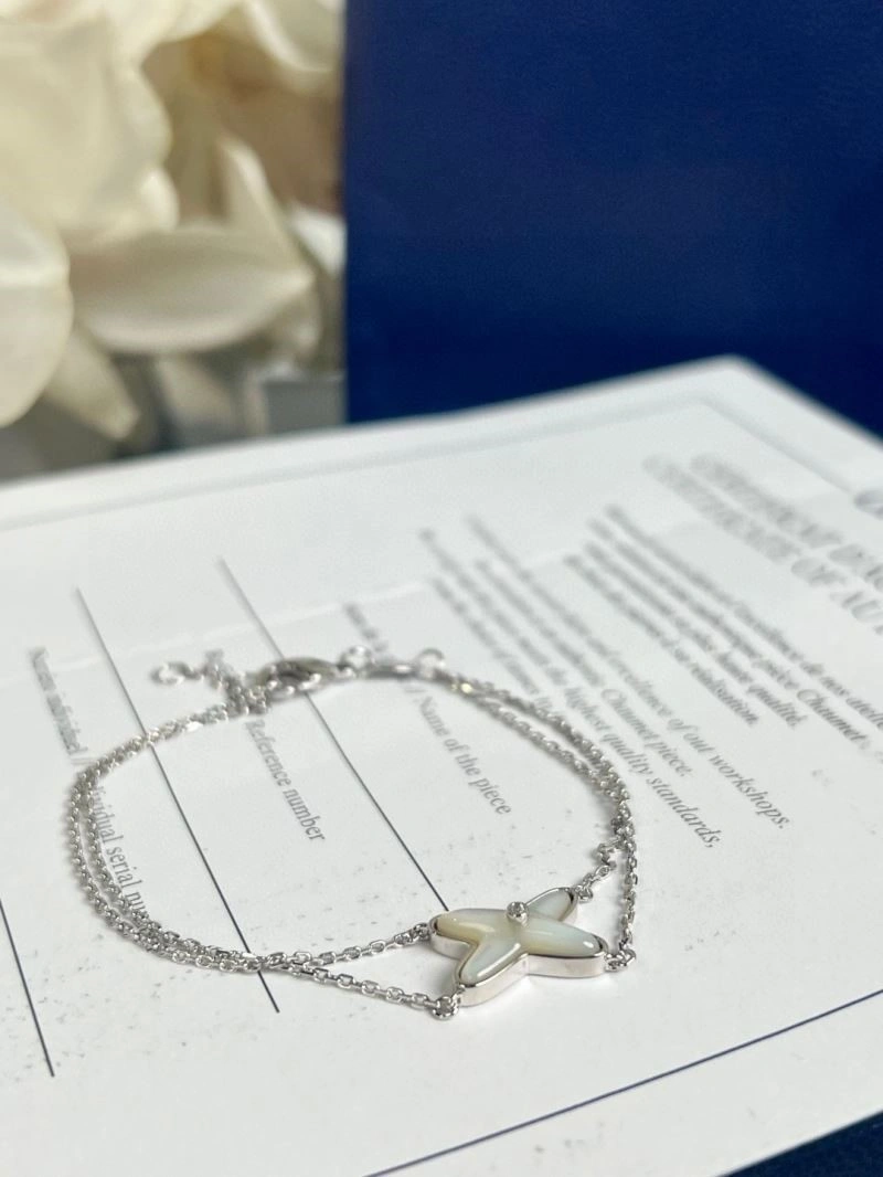 Chaumet Bracelets FastDry 210861