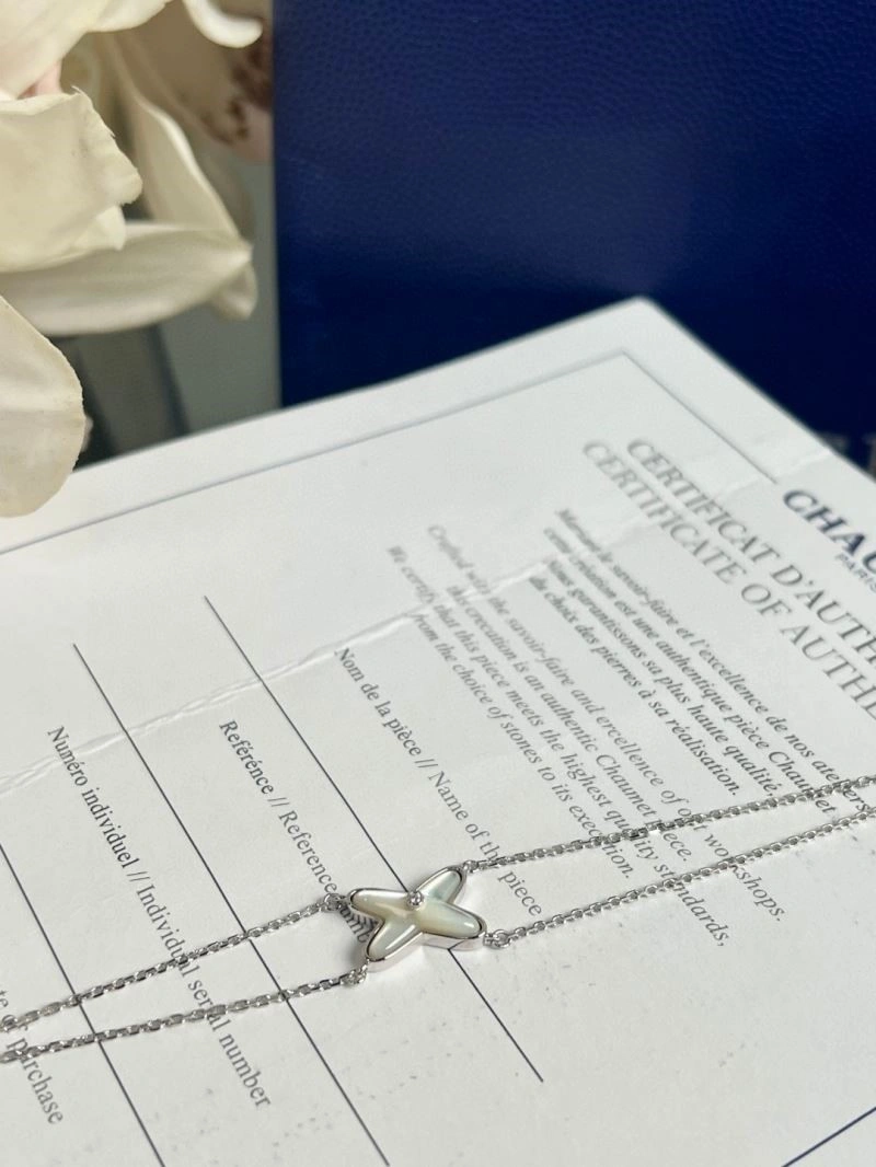 Chaumet Bracelets FastDry 210861
