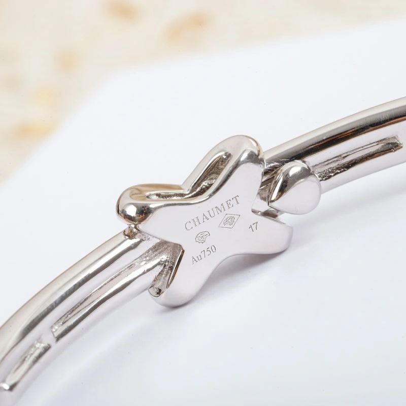 Chaumet Bracelets Stylish 210864