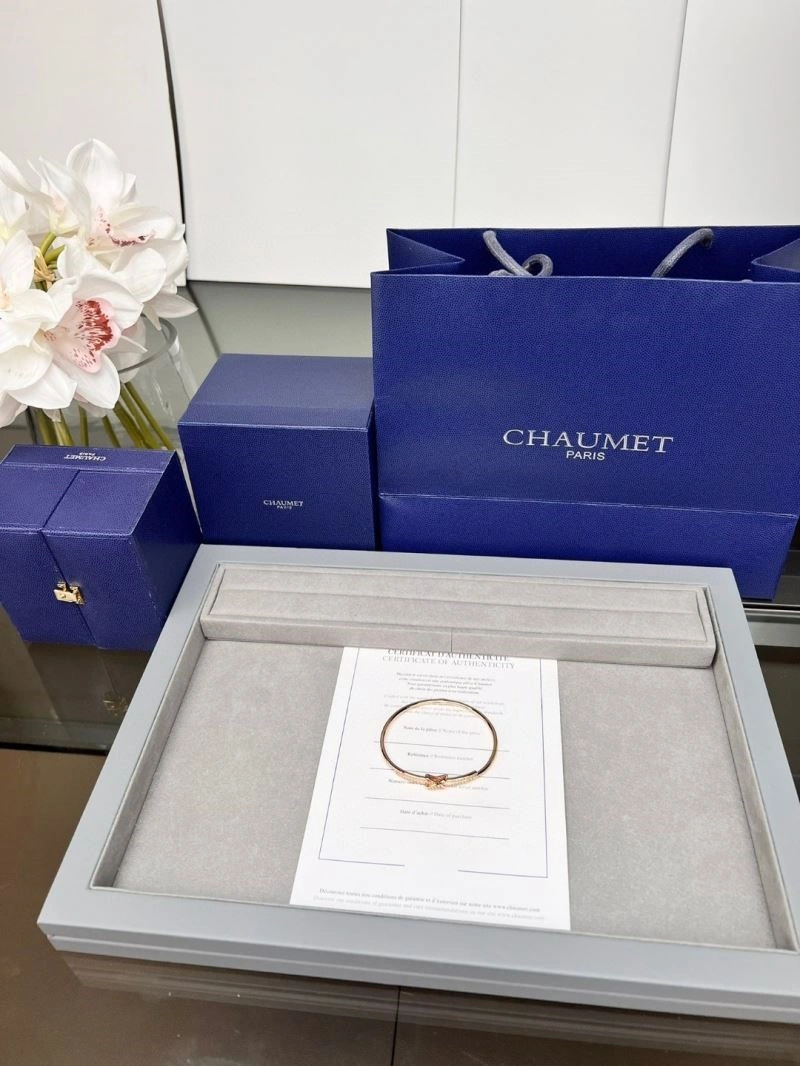 Sustainable Chaumet Bracelets 210027