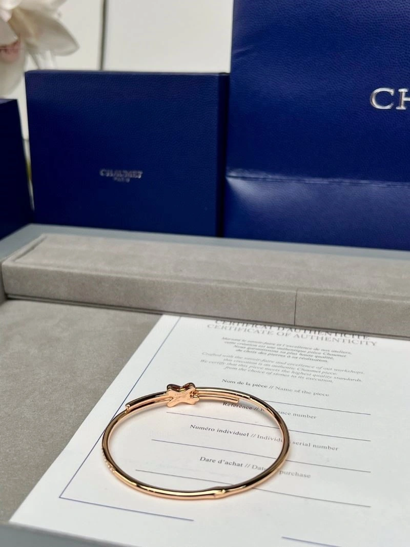 Sustainable Chaumet Bracelets 210027