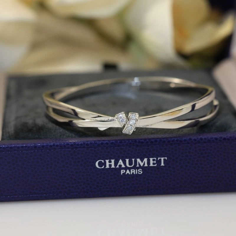 Timeless Chaumet Bracelets 210007