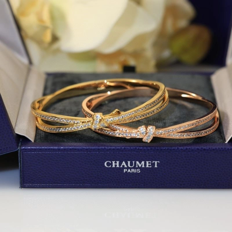 Chaumet Bracelets WeatherProof 210017