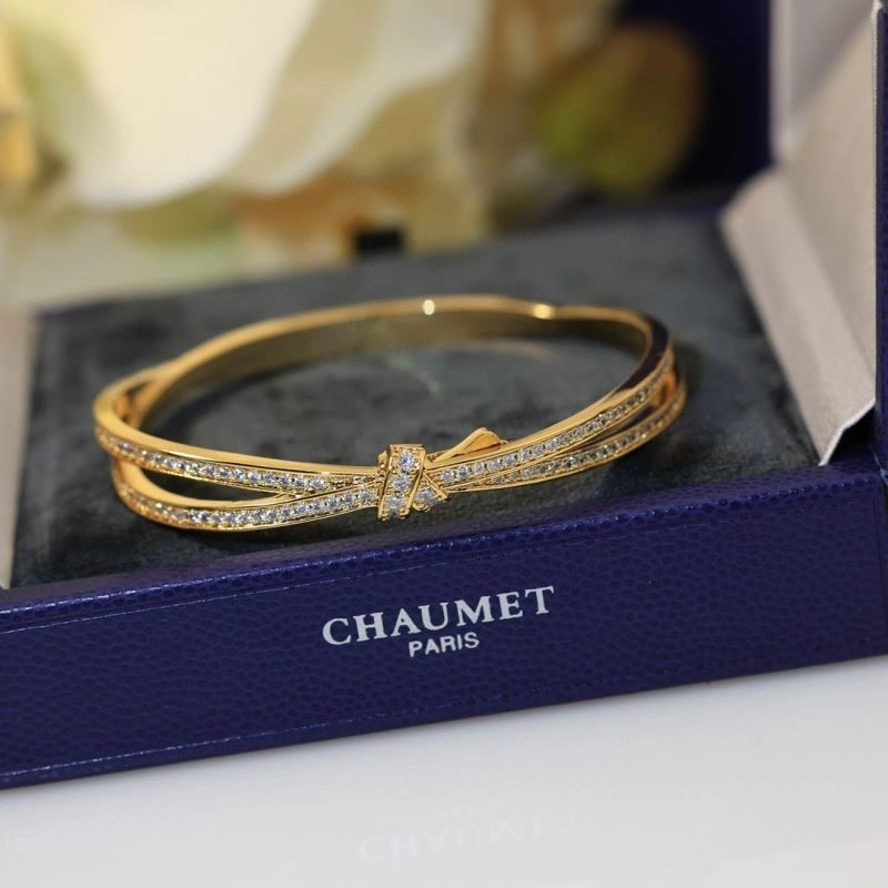 Chaumet Bracelets WeatherProof 210017