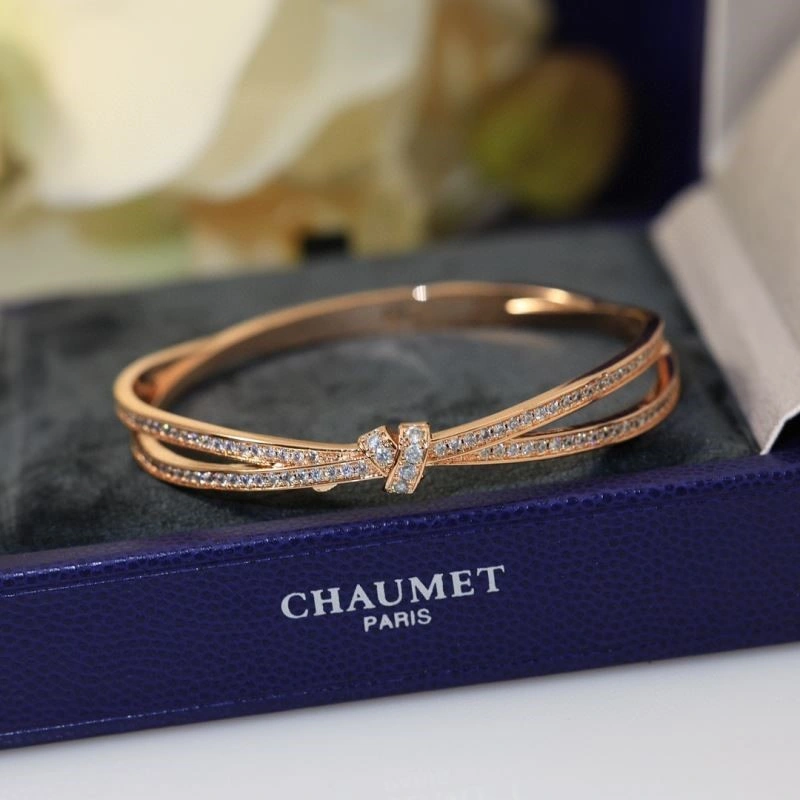Chaumet Bracelets WeatherProof 210017