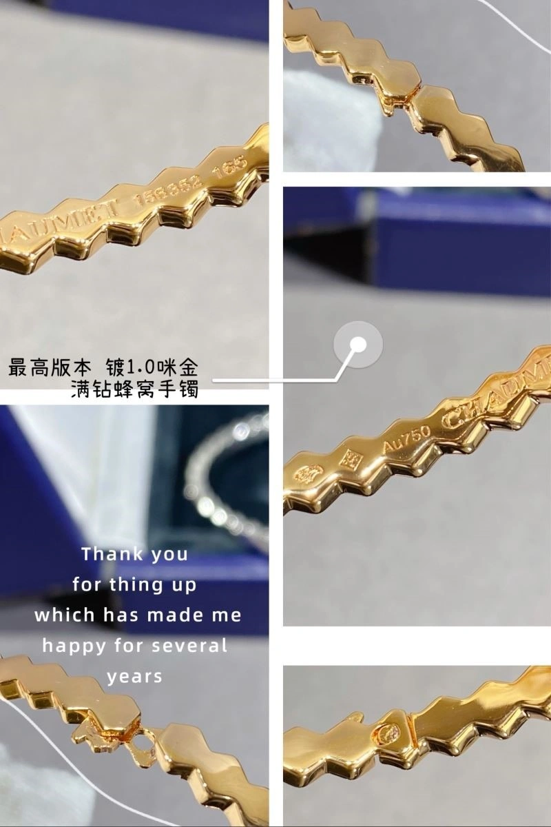 MultiPurpose Chaumet Bracelets 210003
