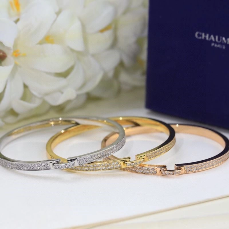 Chaumet Bracelets Minimalist 210004