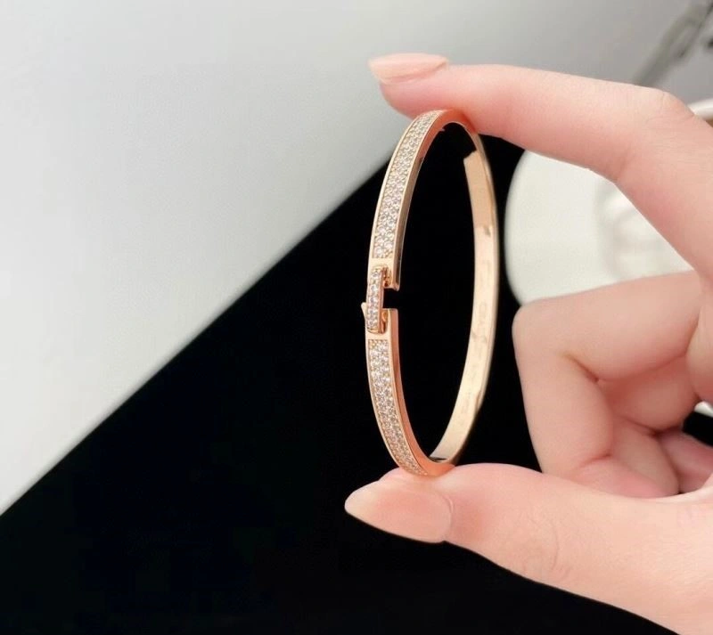 Chaumet Bracelets Minimalist 210004