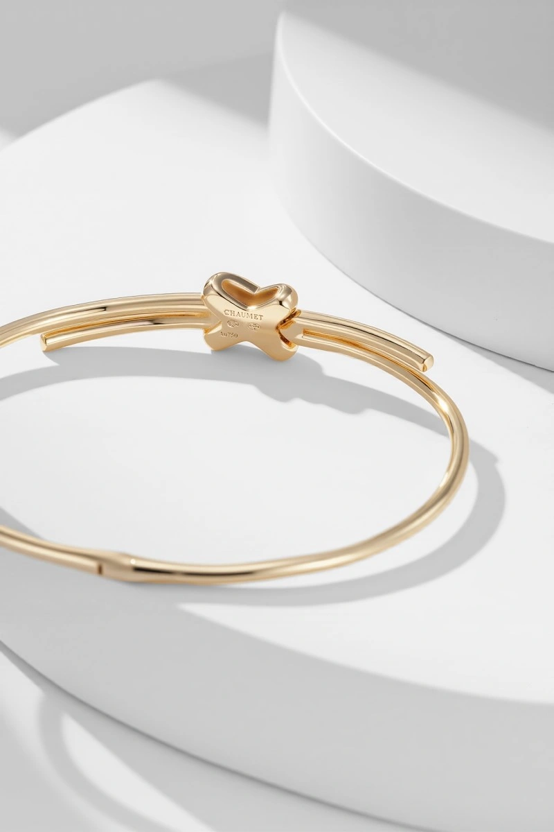 Chaumet Bracelets FlexibleFit 208143