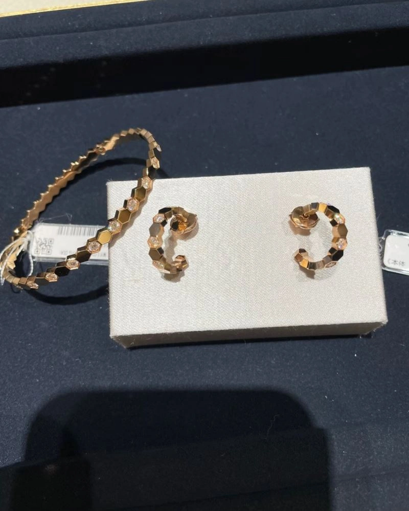 Chaumet Earrings Breathable 214013