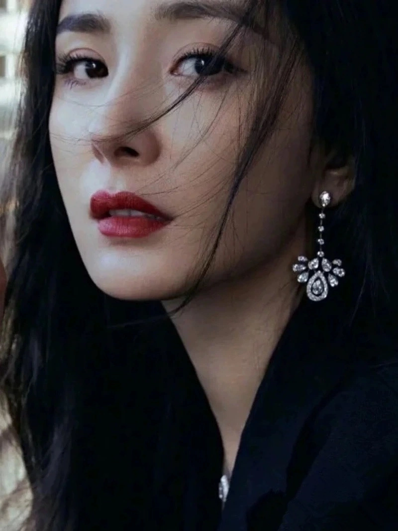 Chaumet Earrings Snug 214298