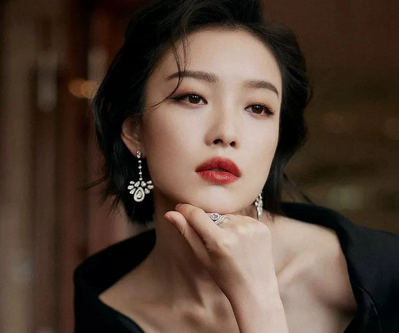 Chaumet Earrings Snug 214298