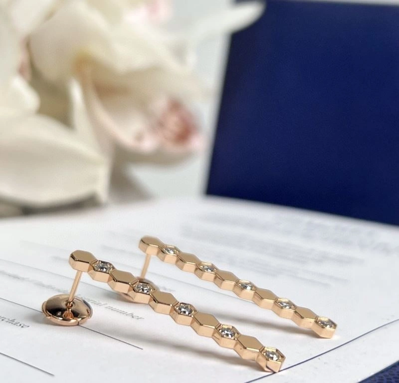 Colorful Chaumet Earrings 211397
