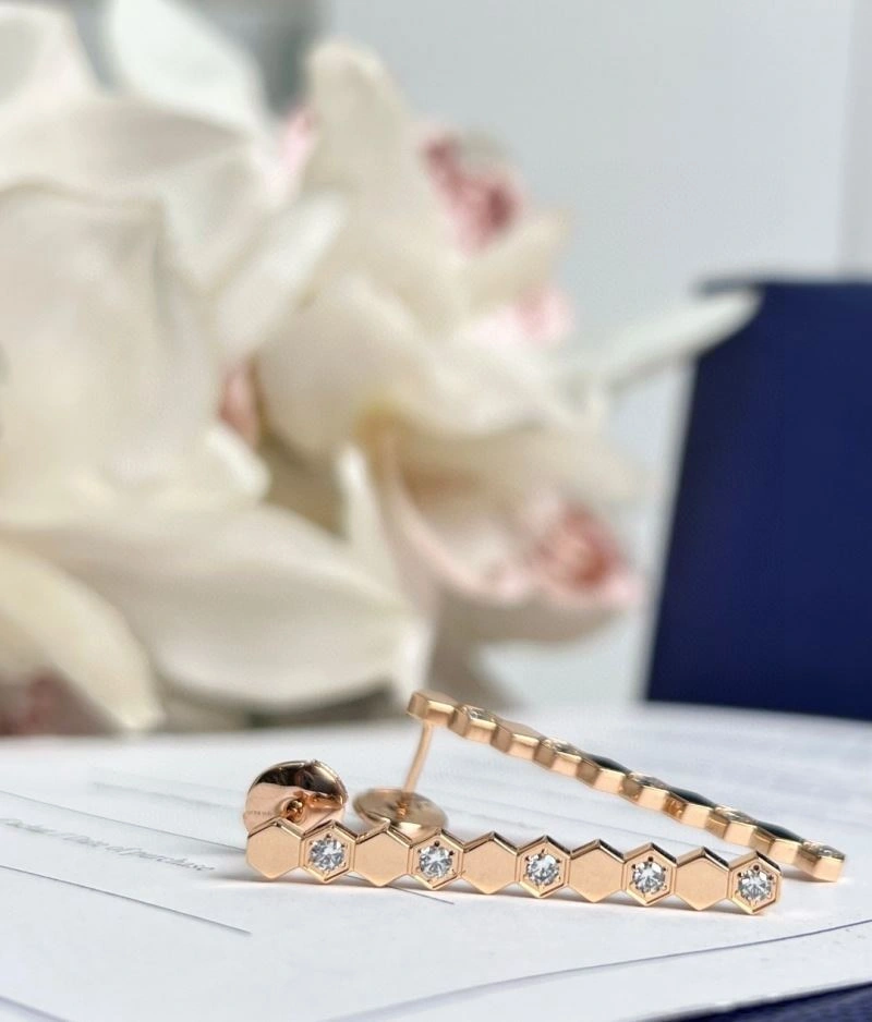 Colorful Chaumet Earrings 211397