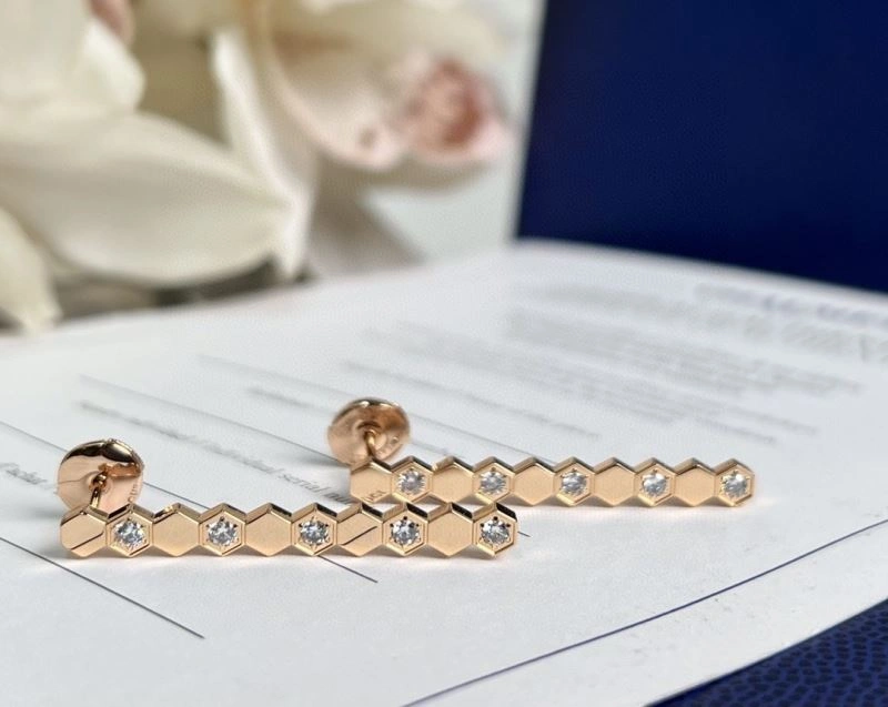 Colorful Chaumet Earrings 211397