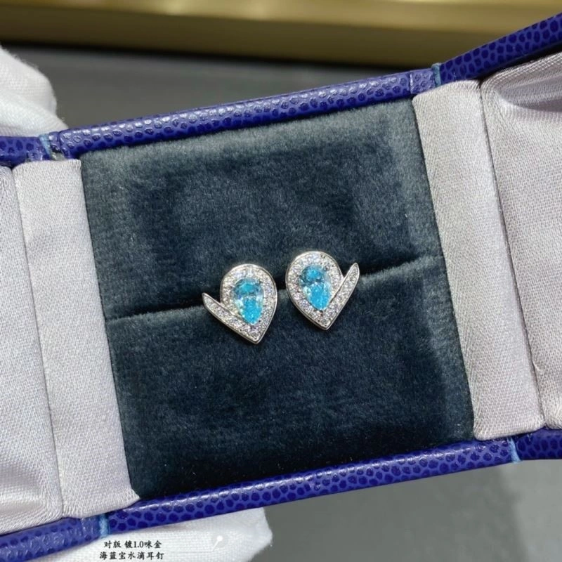 Chaumet Earrings Lightweight 210019