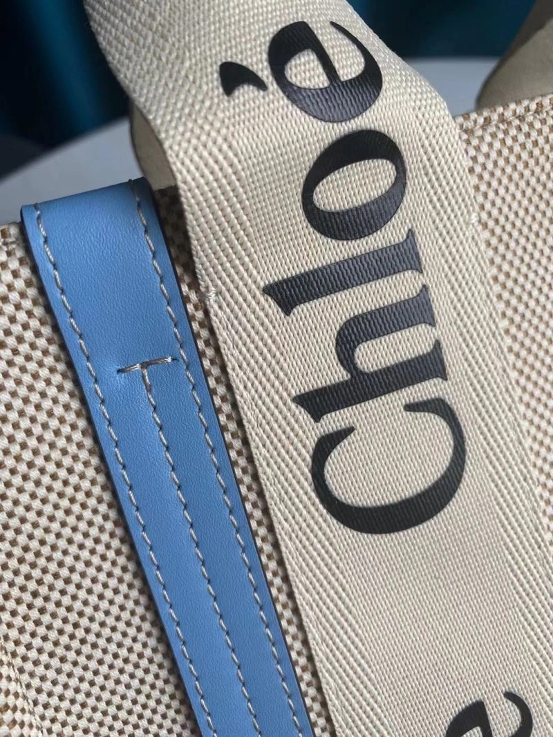 Vibrant Chloe Shopping Bags 67468