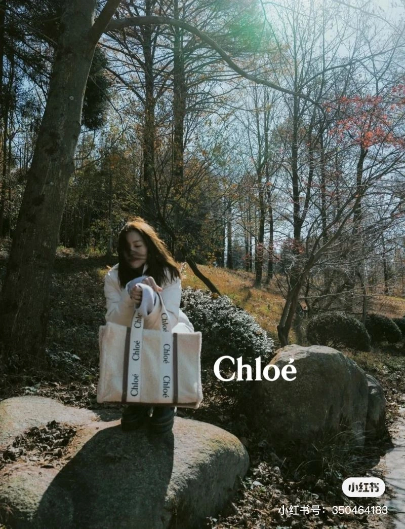 NewStyle Chloe Shopping Bags 60192