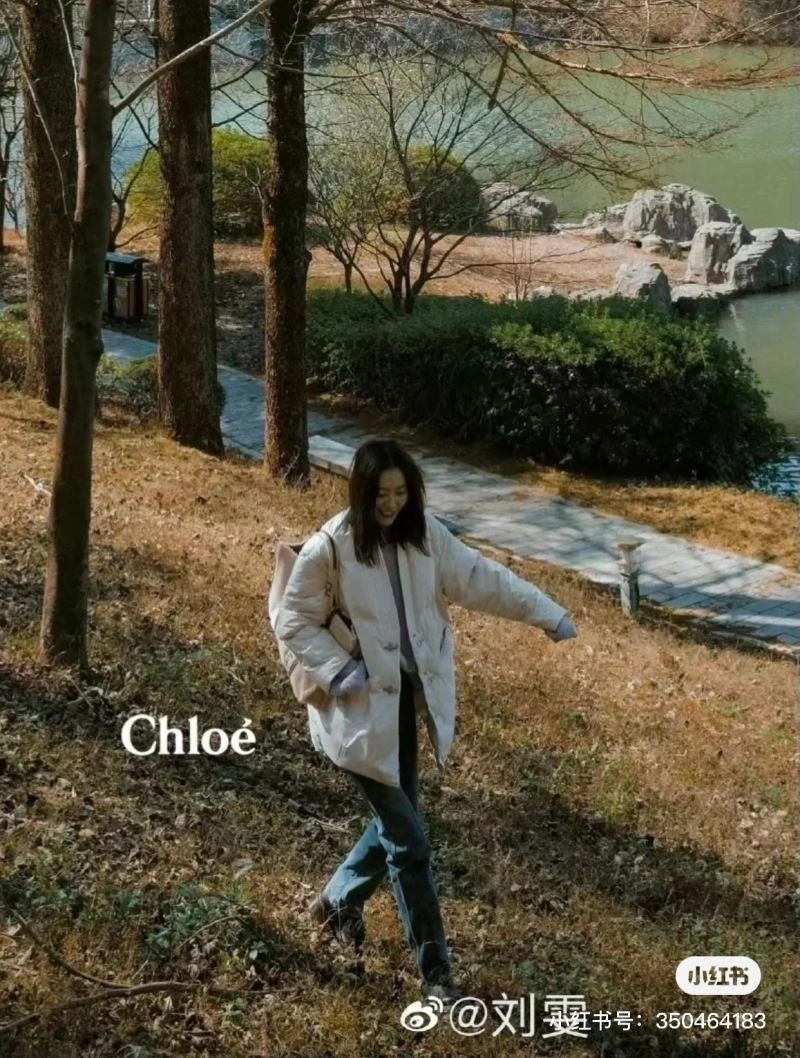 NewStyle Chloe Shopping Bags 60192