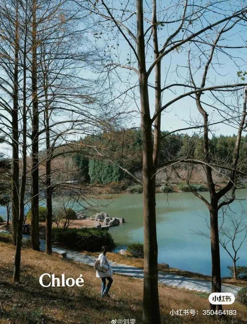NewStyle Chloe Shopping Bags 60192
