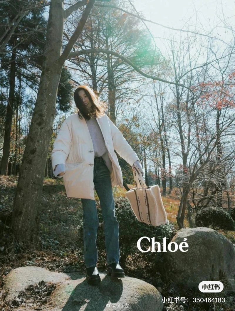 NewStyle Chloe Shopping Bags 60192